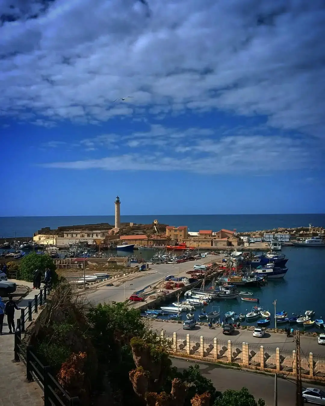 Paysage de Tipaza et Cherchell 6